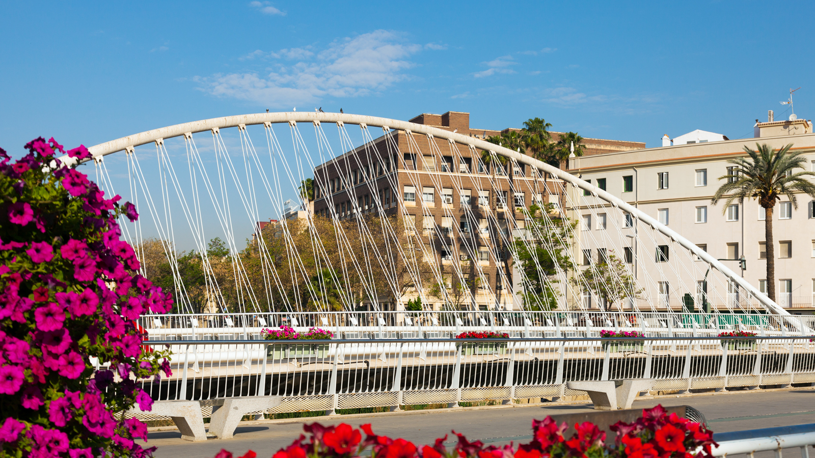 Valor real de una vivienda en Murcia en 2026